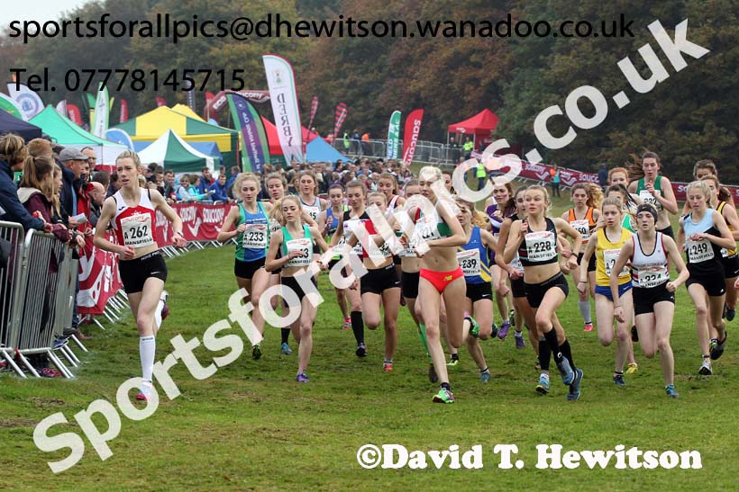 Junior women, National Cross Country Relays, Berry Park, Mansfield. Photo: David T. Hewitson/Sports for All Pics